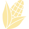 corn corn