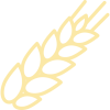 wheat wheat